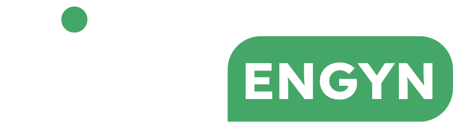 GIGA-ENGYN